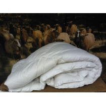 Lammasvillatäytteinen peitto 150*200 cm